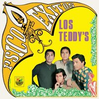 Los Teddy's - Doce Psicoexitos vinyl cover