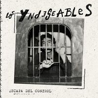 Los Yndeseables - El Perfecto Ruido vinyl cover