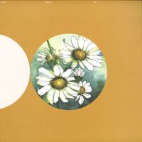 Lost Desert - Pagode vinyl cover