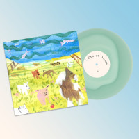 lots of hands - Into a pretty room (Hazy green between clear) vinyl cover
