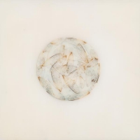 Lotte Kestner - Off White vinyl cover
