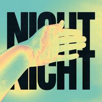 Love-Songs - Nicht Nicht vinyl cover