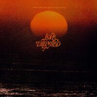 Love Unlimited - From A Girls Point Of View We Give To You...love Unlimited vinyl cover
