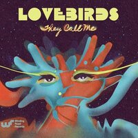 Lovebirds - They Call Me vinyl cover