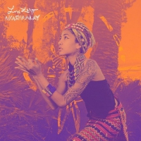 Low Leaf - Akashaalay vinyl cover