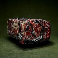 Loyle Carner - Live From The Royal Albert Hall vinyl cover