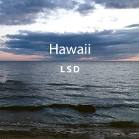 Lsd - Hawaii vinyl cover