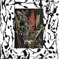 Luca Musto - Call Me On The Regular vinyl cover