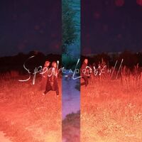 Lucia Cadotsch - Speak Low II vinyl cover