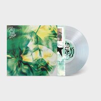 Lucid Express - Instant Comfort vinyl cover