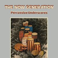 Peter Ludemann & Pit Troja - The Now Generation vinyl cover