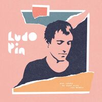 Ludo Pin - Nos Jours Ne Sont Plus Les Memes vinyl cover