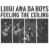 Luigi Ana Da Boys - Feeling The Ceiling vinyl cover
