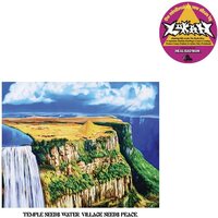 Lukah & Real Bad Man - Temple Needs Water Village Needs Peace vinyl cover