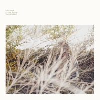 Luke Temple - A Hand Through The Cellar Door vinyl cover
