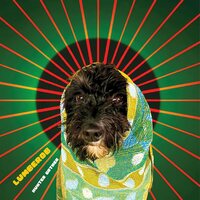 Lumberob - Hunter Gather vinyl cover