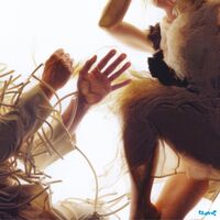 Lump - Animal vinyl cover