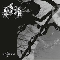 Lunar Aurora - Ars Moriendi (Picture Disc) vinyl cover