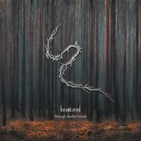Lunatic Soul - Through Shaded Woods vinyl cover