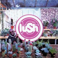 Lush - Lovelife vinyl cover
