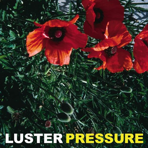 Luster - Pressure vinyl cover