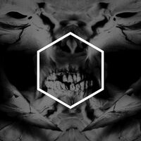 Lustmord - Other vinyl cover