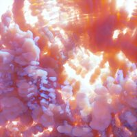 Lynyn - Ixona vinyl cover