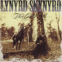Lynyrd Skynyrd - Last Rebel  vinyl cover
