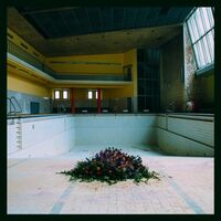 Lyr - Call In The Crash Team vinyl cover