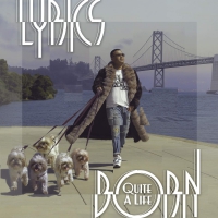 Lyrics Born - Quite A Life vinyl cover