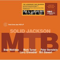 M.T.B. - Solid Jackson vinyl cover
