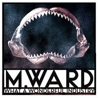 M. Ward - What A Wonderful Industry vinyl cover