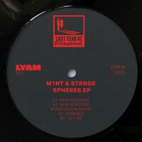M1Nt & Strnge - Spheres vinyl cover