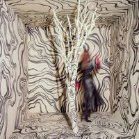 Madison Cunningham - Revealer vinyl cover