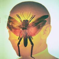 Maelstrom - Rhizome vinyl cover