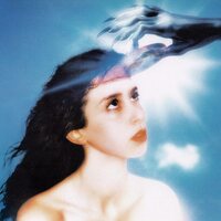 Magdalena Bay - Imaginal Disk vinyl cover