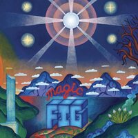 Magic Fig - MAGIC FIG vinyl cover