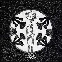 Magic Tuber Stringband - Tarantism vinyl cover