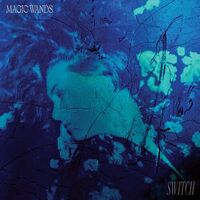 Magic Wands - Switch