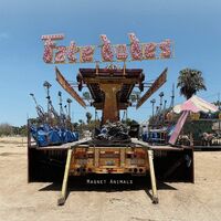 Magnet Animals - Fake Dudes vinyl cover