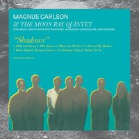 Magnus Carlson & Moon Ray - Shadows vinyl cover