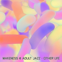 Makeness & Adult Jazz - Other Life vinyl cover