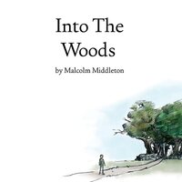 Malcolm Middleton - Into The Woods vinyl cover
