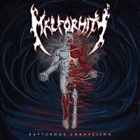 Malformity - The Rapturous Unraveling vinyl cover