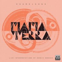Mama Terra - Chameleons Interpretations of Herbie Hancock vinyl cover