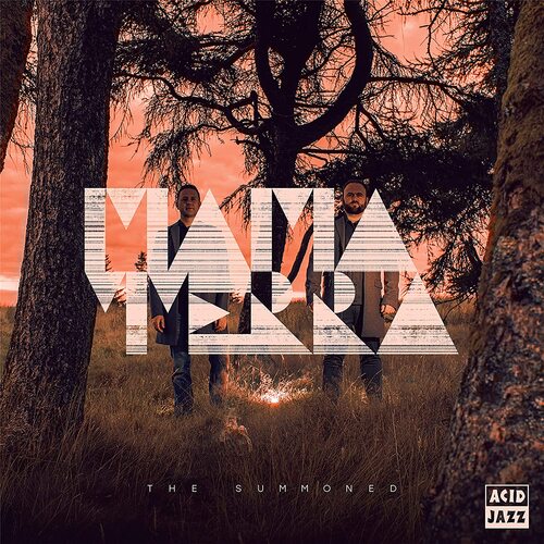 Mama Terra - The Summoned vinyl cover
