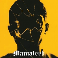 Mamaleek - Out Of Time vinyl cover