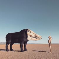 Man Man - Dream Hunting In The Valley Of The In-Between vinyl cover