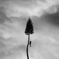 Manchester Orchestra - A Black Mile To The Surface vinyl cover