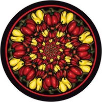 Manda Moor - Picante vinyl cover